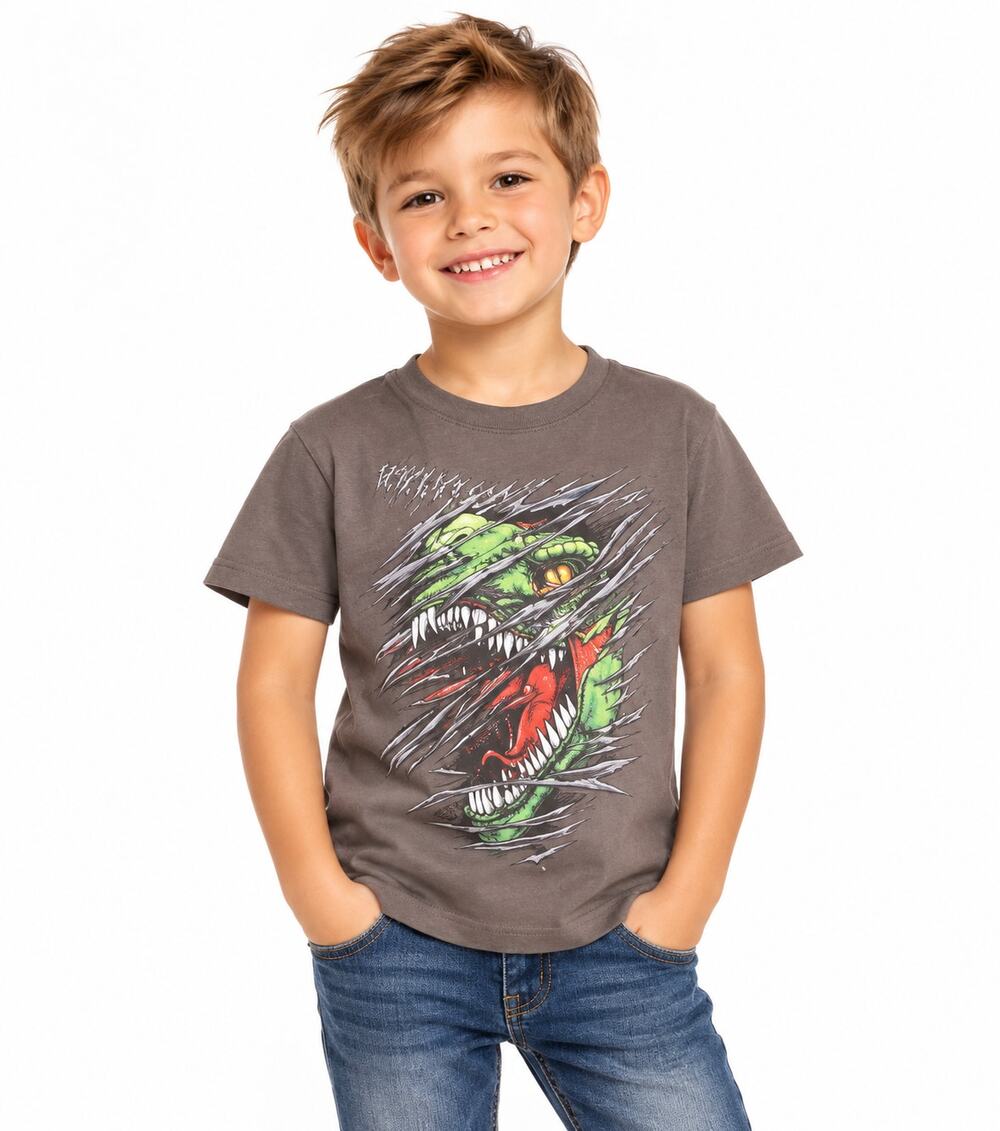 Gildan Boys Dinosaur T-Shirt Size XS 4-5 Gray Green T-Rex Graphic Tee